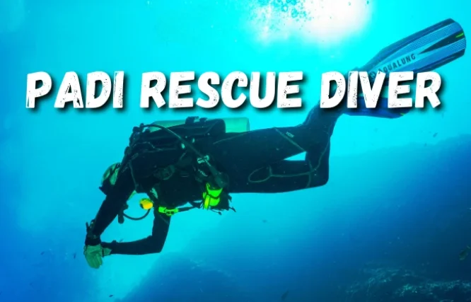 PADI Rescue Diver with Neptune Scuba Diving Sanur